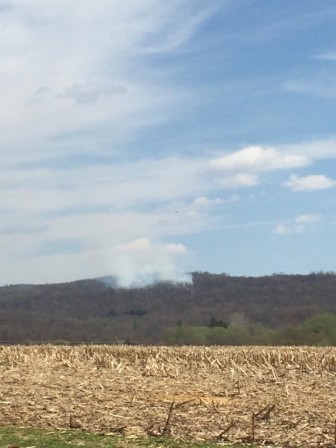 A clodu of smoke rises from the scene of a brush fire in the 1700 block of Erin Lane on Springtown Hill, Lower Saucon Township