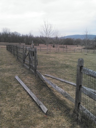 The fence around the Polk Valley Dog Park was recently damaged by visitors who wanted to access the facility when it was closed.