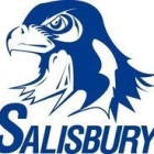 Salisbury Falcons