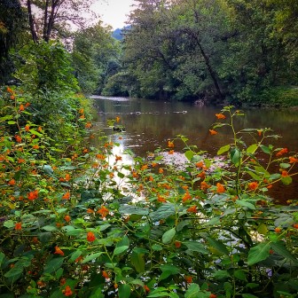 The Saucon Creek (FILE PHOTO)