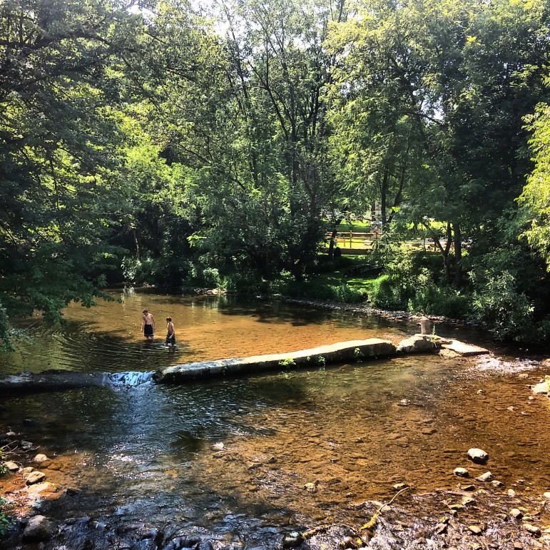 An old dam in the Saucon Creek in Hellertown and Lower Saucon Township could soon be removed.