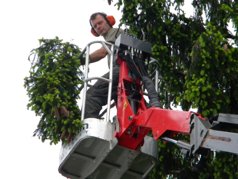 Hungry Beaver Tree Service owner-operator John M. Katelas has been performing tree removal professionally for 13 years, after developing an interest for it in childhood.