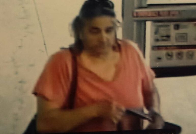 Lower Saucon Township Police released this surveillance image of a woman they say stole two air conditioners and a 12-pack of Snapple iced tea from the Giant Food Store on Leithsville Road Friday.