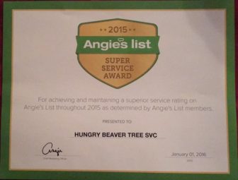 Hungry Beaver Tree Service received an Angie's List 2015 Superior Service Award earlier this year.