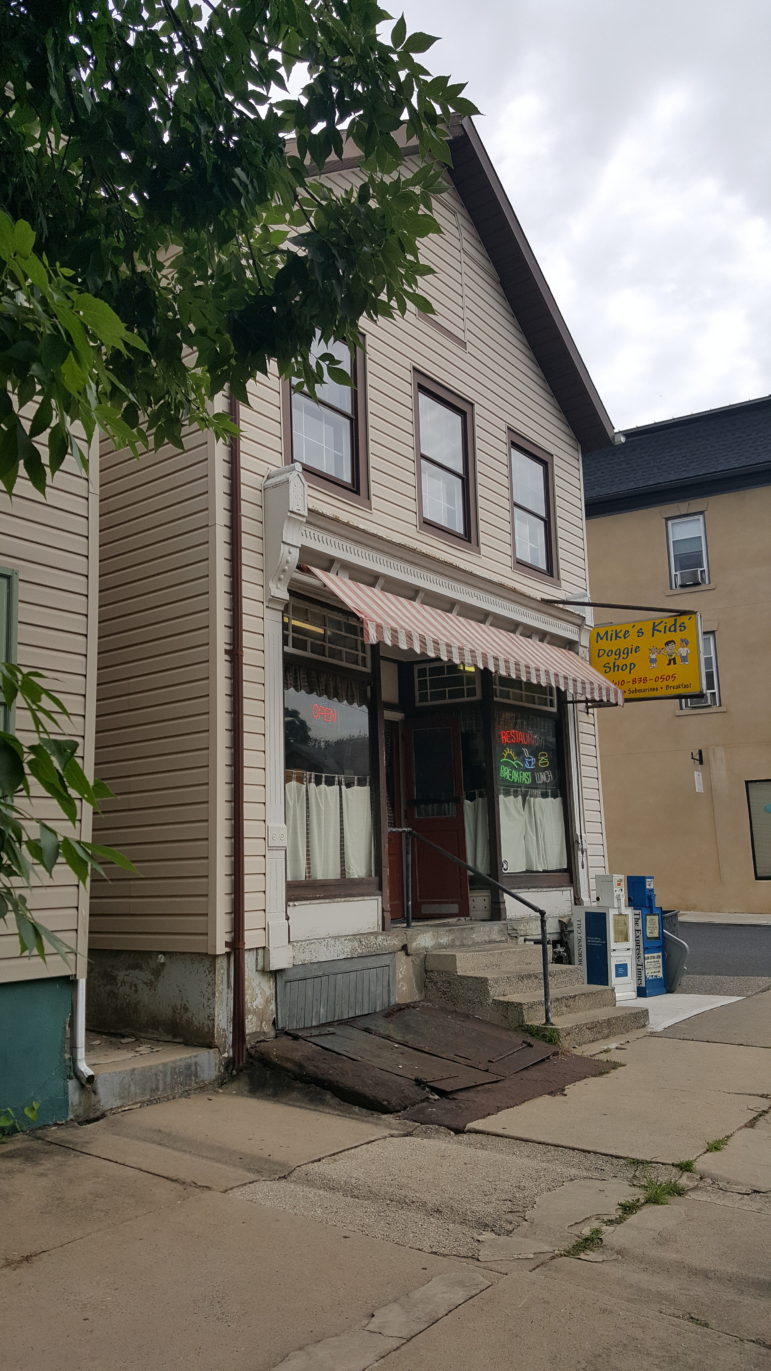 Mike's Kids Doggie Shop owner Janice Repynek told the Hellertown Planning Commission she wants to replace the awning on the front of her building and paint the parts of it not covered by siding. Bilco doors would also be repaired.