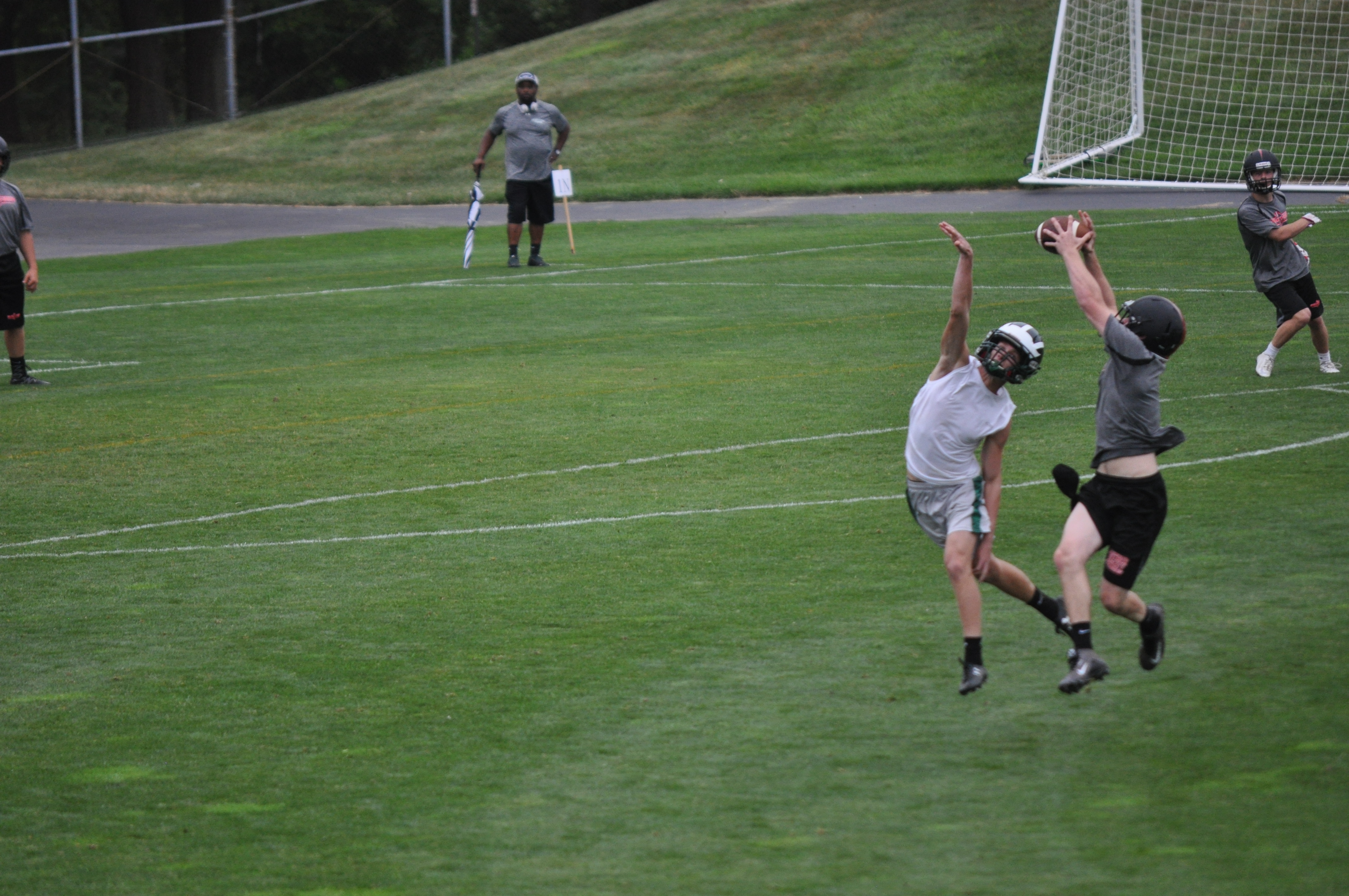 Saucon Valley junior Alstan Wolfe climbs the ladder against Archmere for another acrobatic catch.