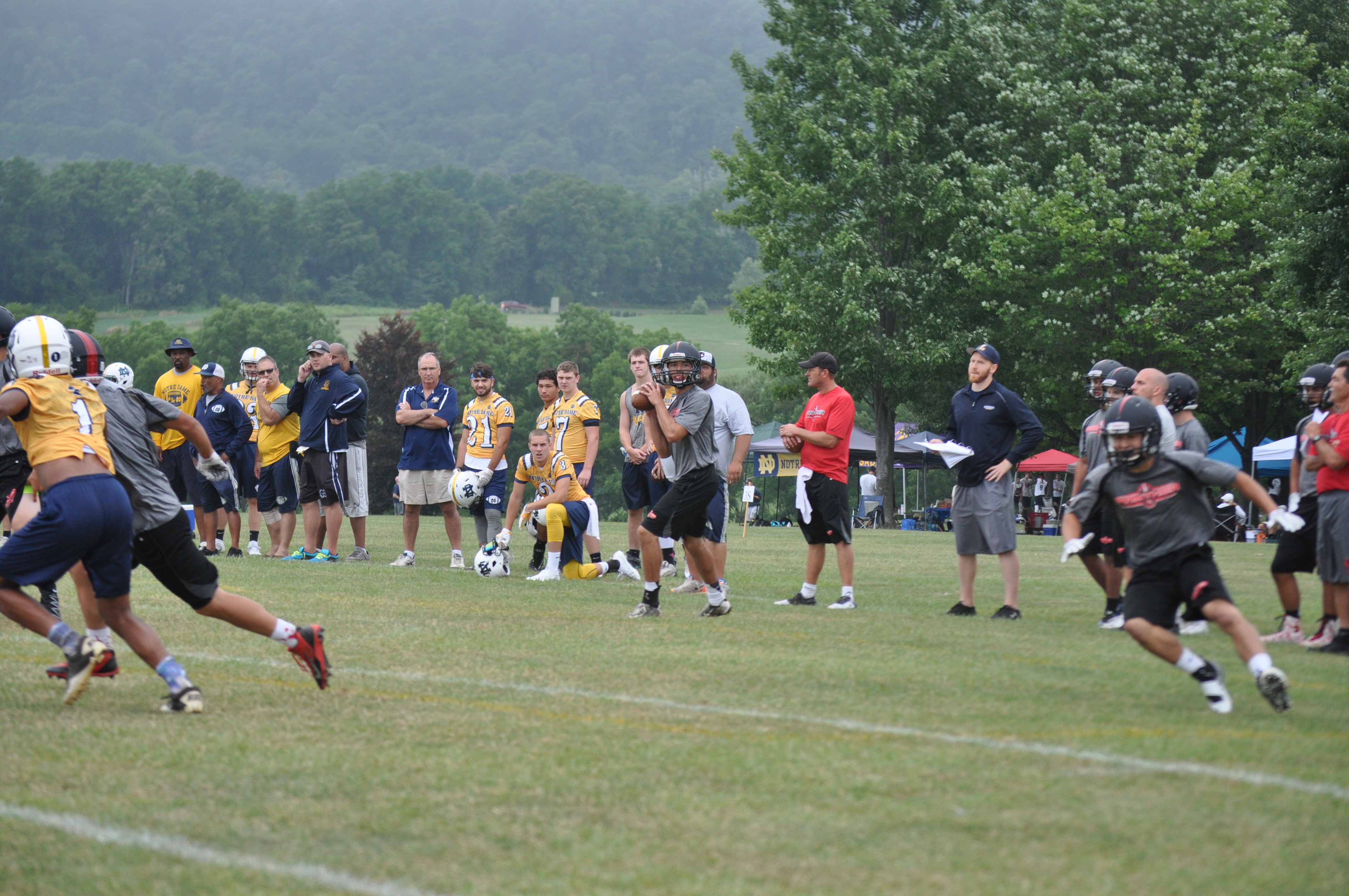 Panther quaterback Brandon Holub looks for Steven Rose out of the backfield against Notre Dame.