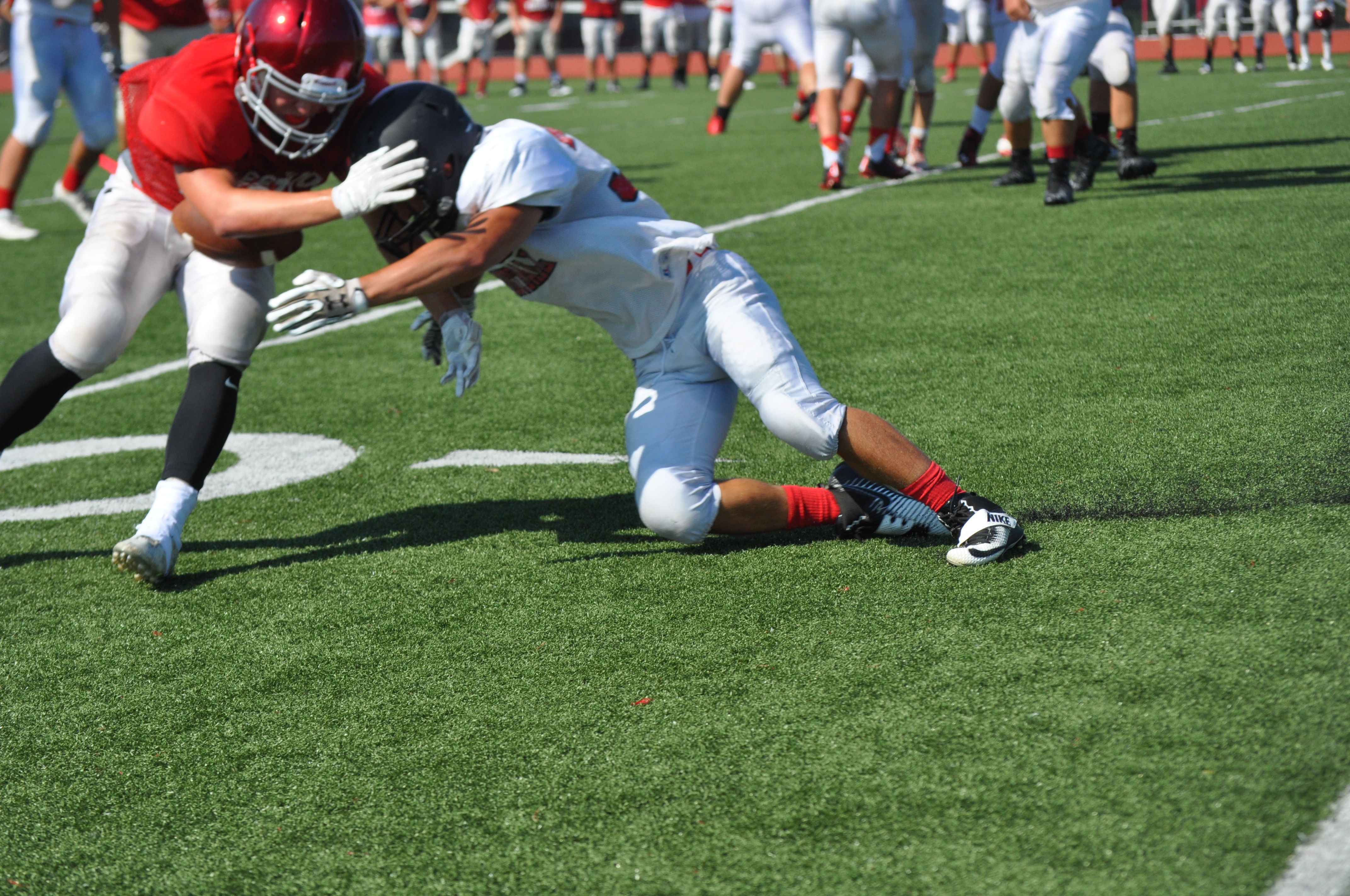 Saucon Valley Panther Steven Rose from his cornerback position has a nose for the football.