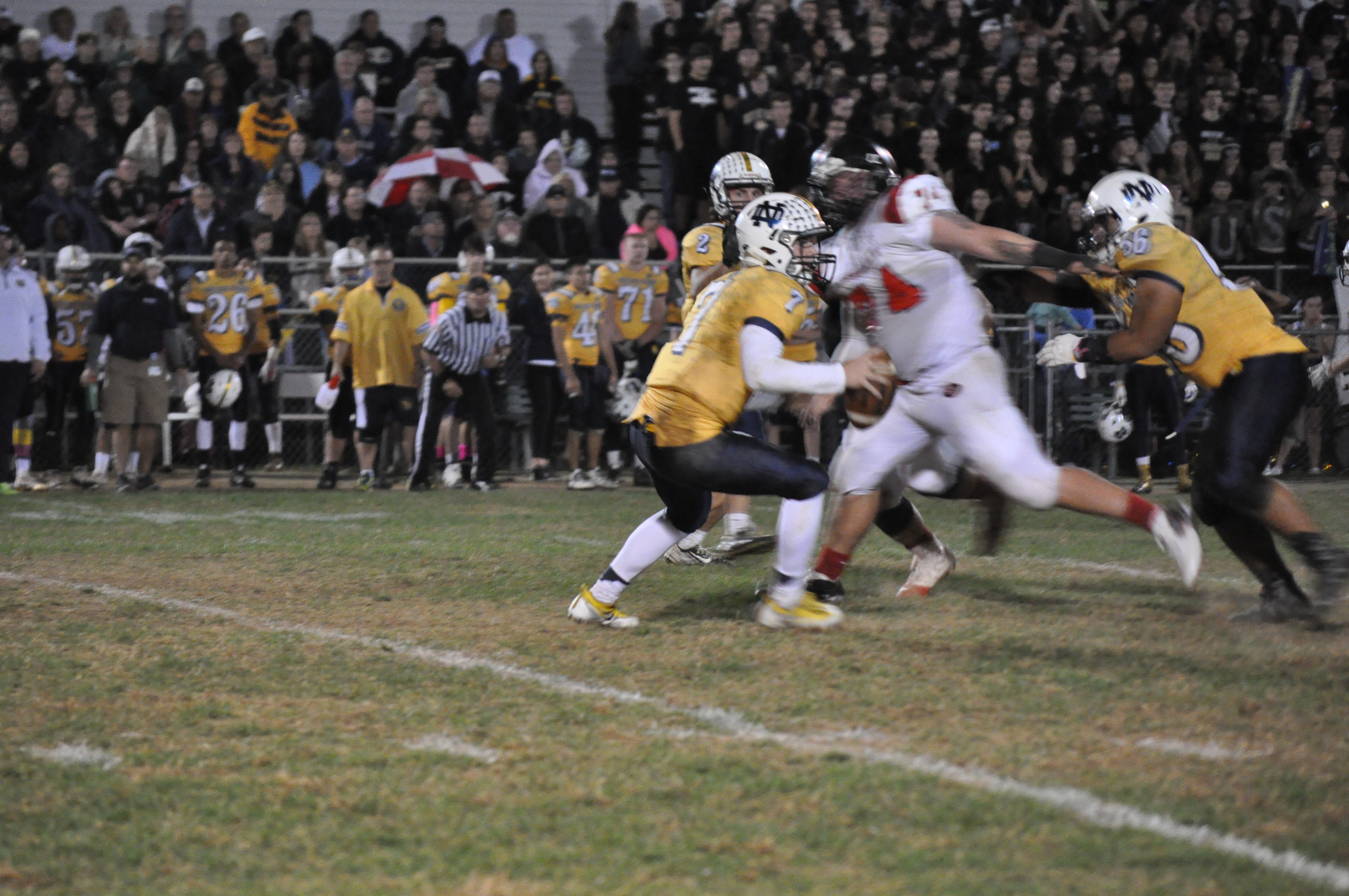 Ryan Meyers of Saucon Valley doing his thing hunting quarterbacks. 