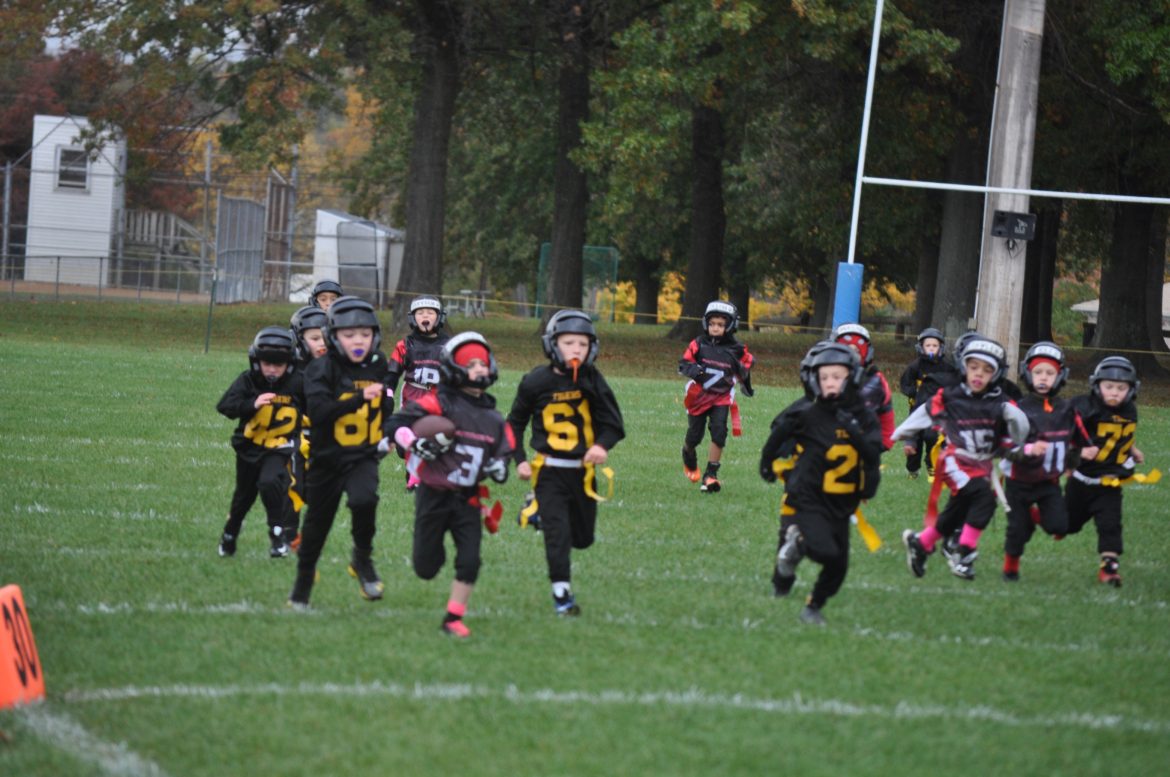 Saucon Valley Little Panthers - (Hellertown, PA) - powered by