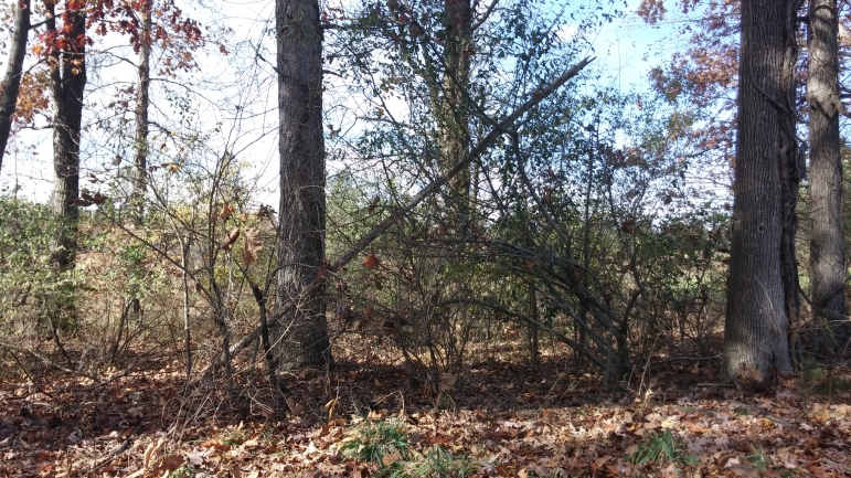 Much of the former Woodland Hills Golf Course in Lower Saucon Township was preserved as open space with funding appropriated by the township's .25 percent open space earned income tax. It is now a passive recreation area (FILE PHOTO).