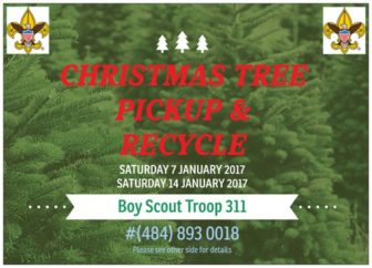 Boy Scouts Will Collect Christmas Trees in Hellertown, Lower Saucon