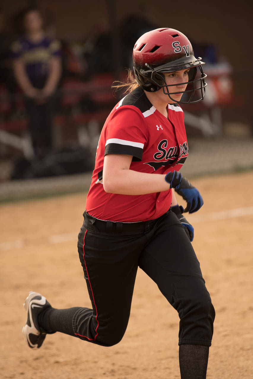 Panther Softball Panorama Saucon Source