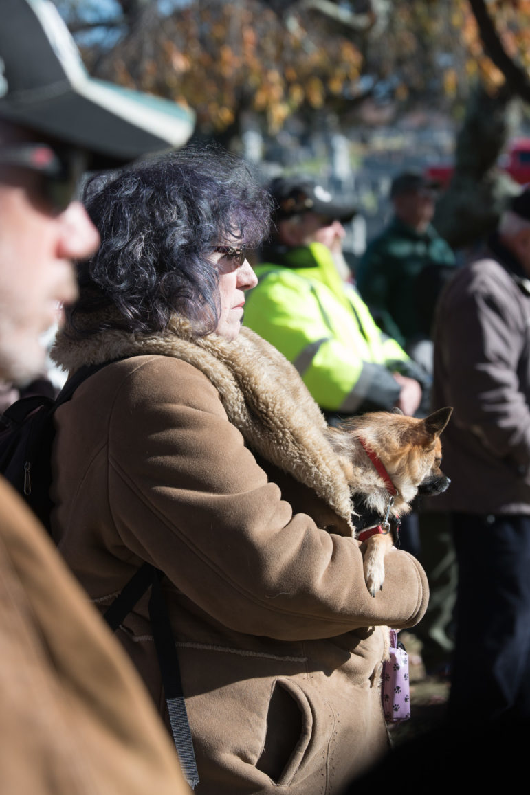 Meaning of Veterans Day Made Clear at Hellertown Ceremony