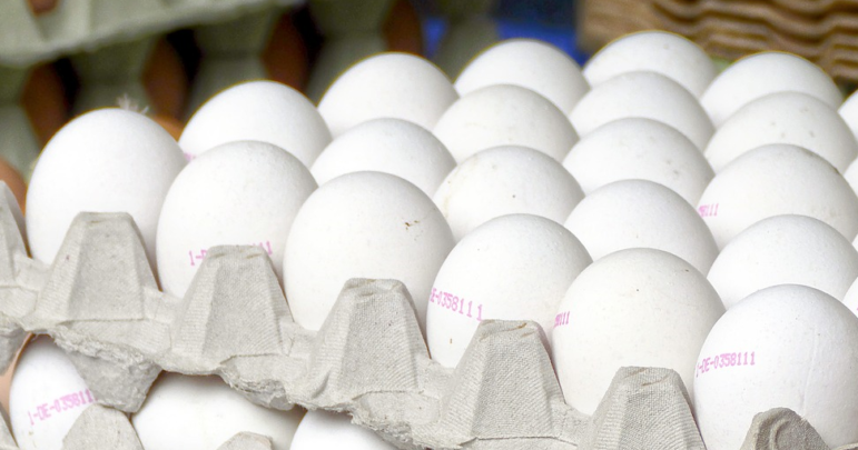 Eggs Egging Police