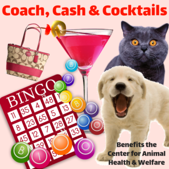 Coach, Cash & Cocktails Bingo