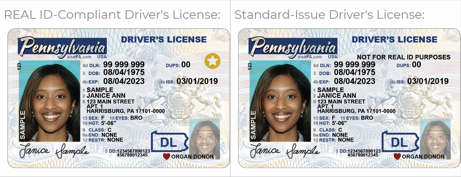 What is the REAL ID? And What Do You Need to Really Get One? - Saucon ...