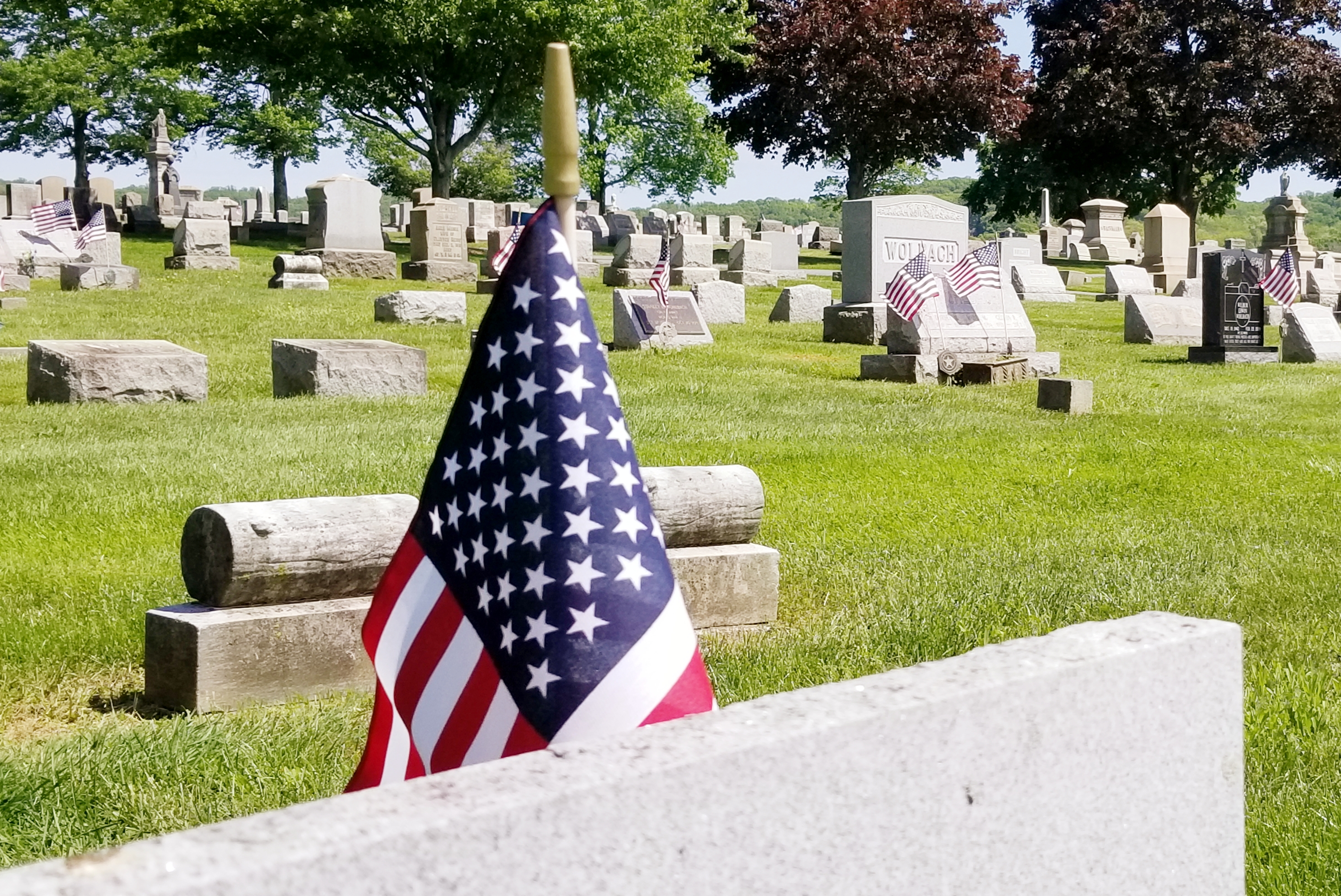 Members of Baseball Team Help Place Flags for Memorial Day