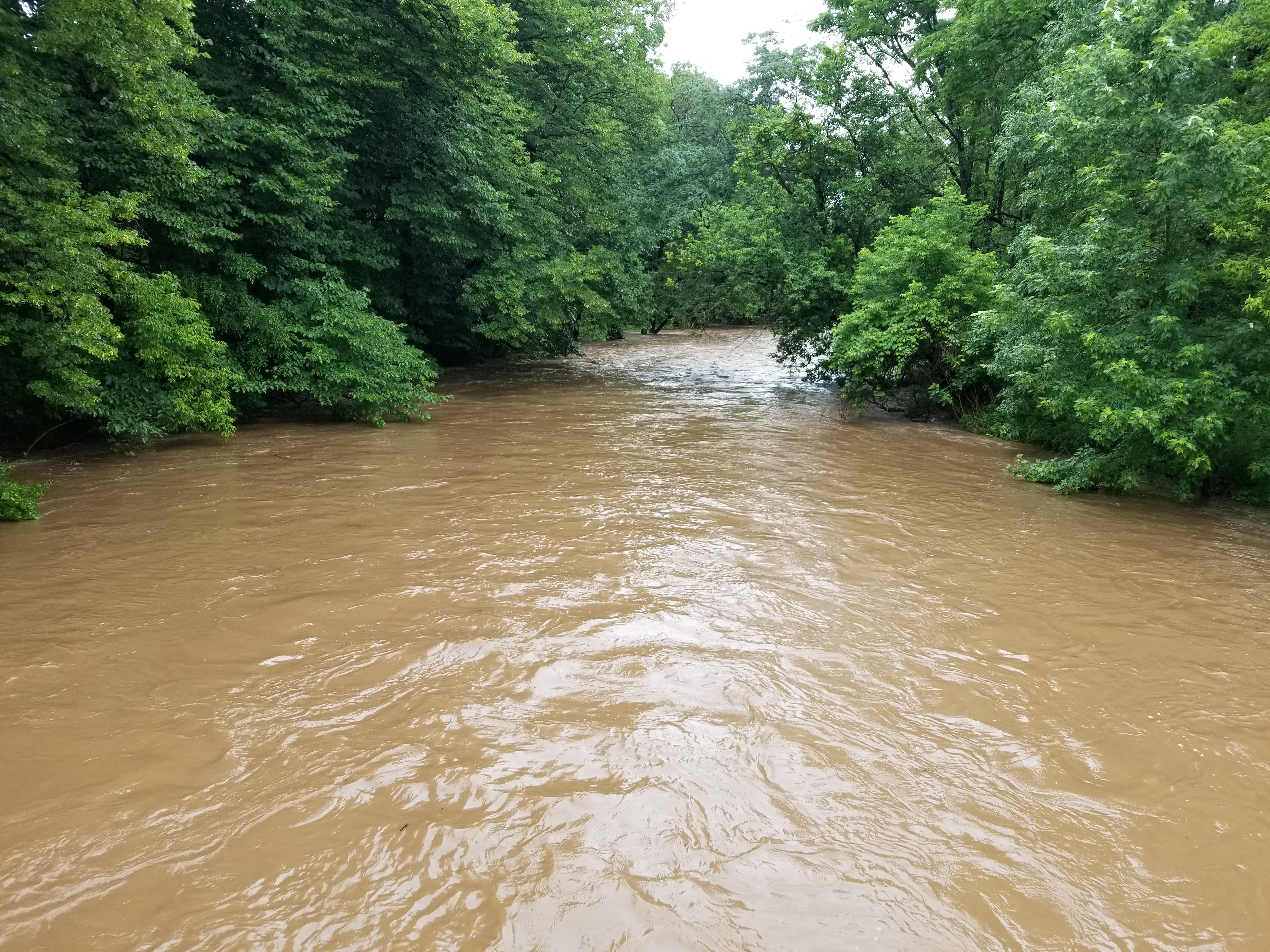 Flood Saucon Creek