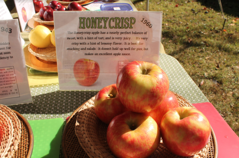 Apple Fest 8