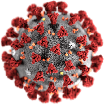 Coronavirus COVID-19 Cases