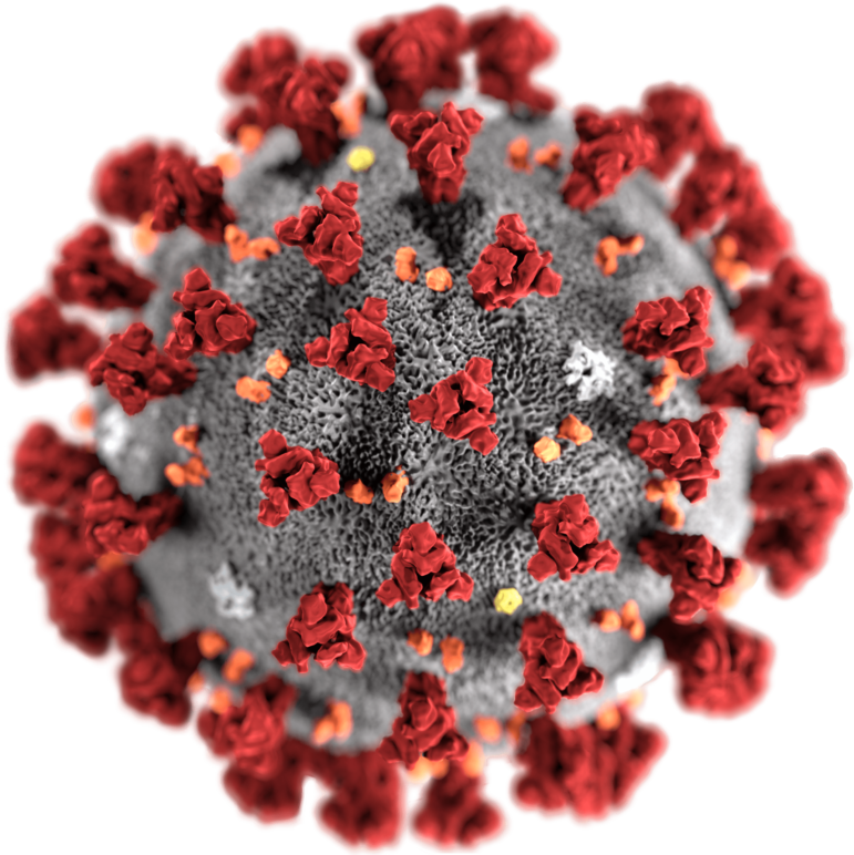 Coronavirus COVID-19