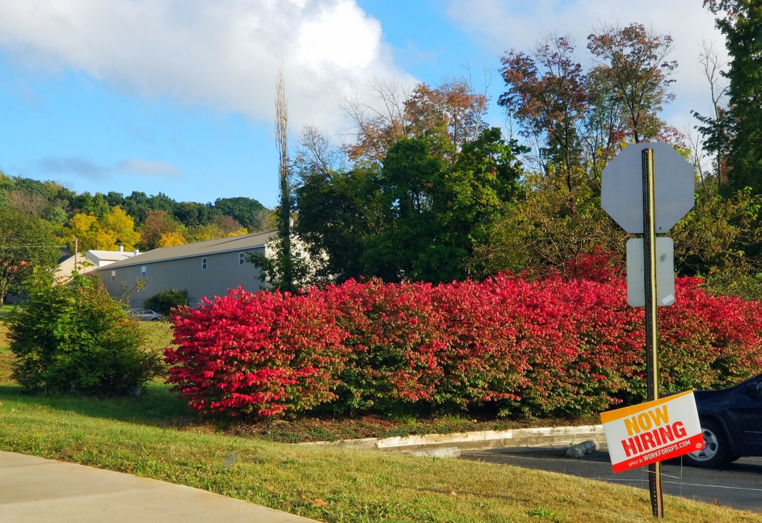 Fall Leaves Turning Early Thanks To Chilly Temperatures (Photos ...