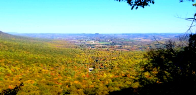 Hawk Mountain Fall