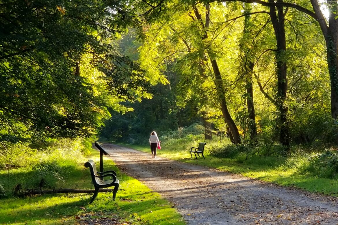 Lower Saucon Grant Walk Pedestrian