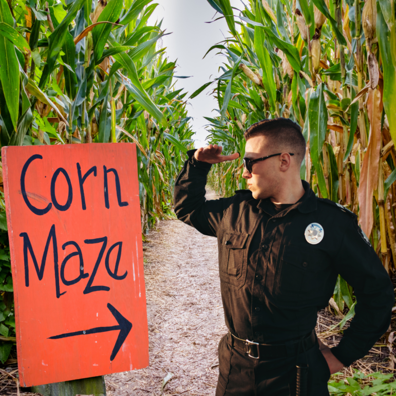 Corn Maze Theft Cops