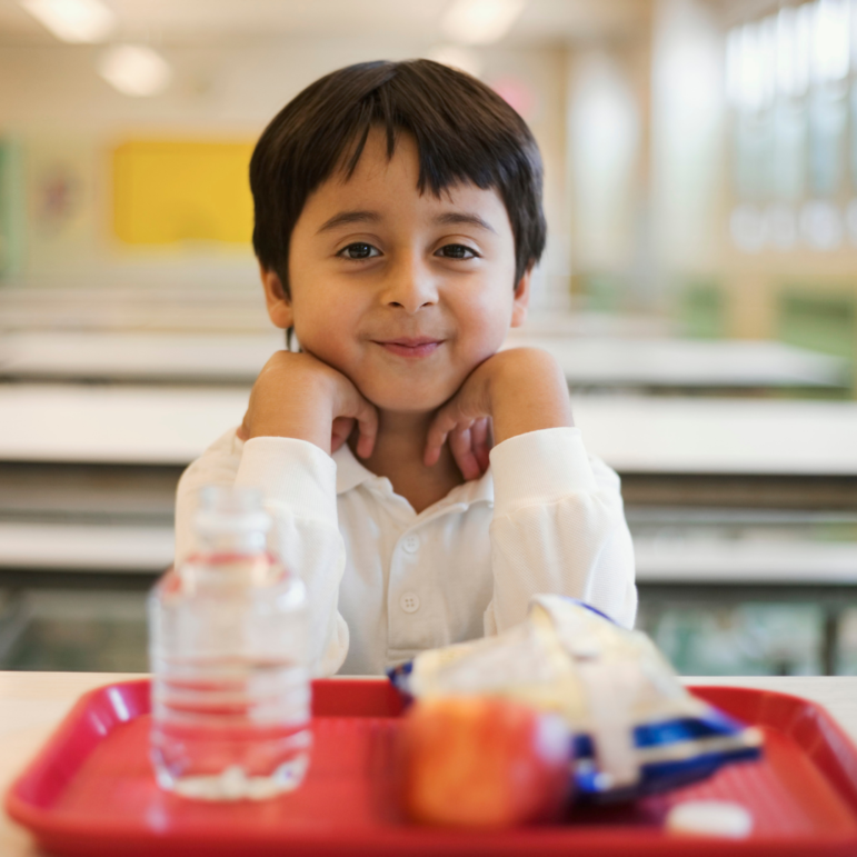 Free School Meals Lunches