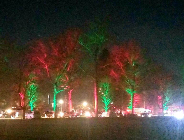 Dimmick Park Holiday Lights