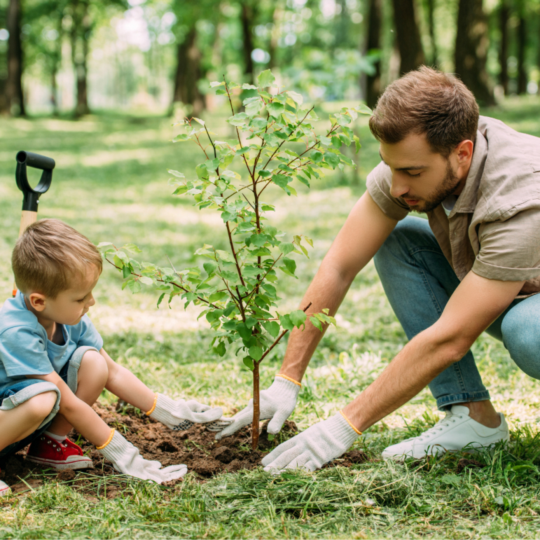 Trees Saucon Valley Planting