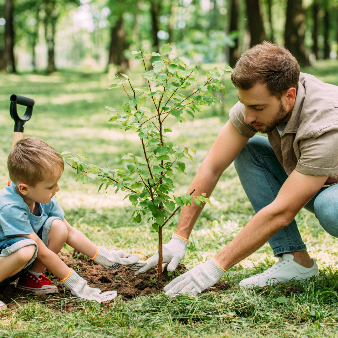 Plant trees. Сажать деревья. Люди сажают деревья. Сажание деревьев.