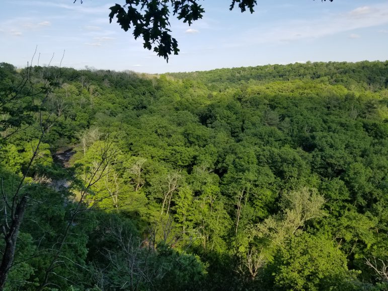 Ralph Stover State Park