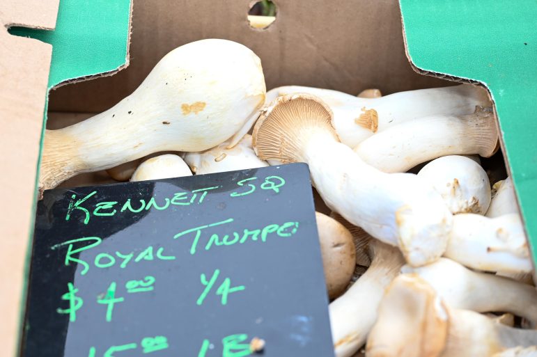 Saucon Valley Farmers Market Mainly Mushrooms