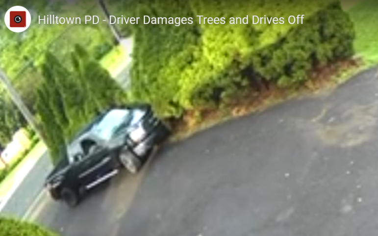Driver Smashes Trees