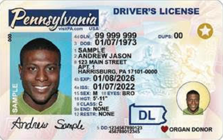 Penndot Driver License Sample