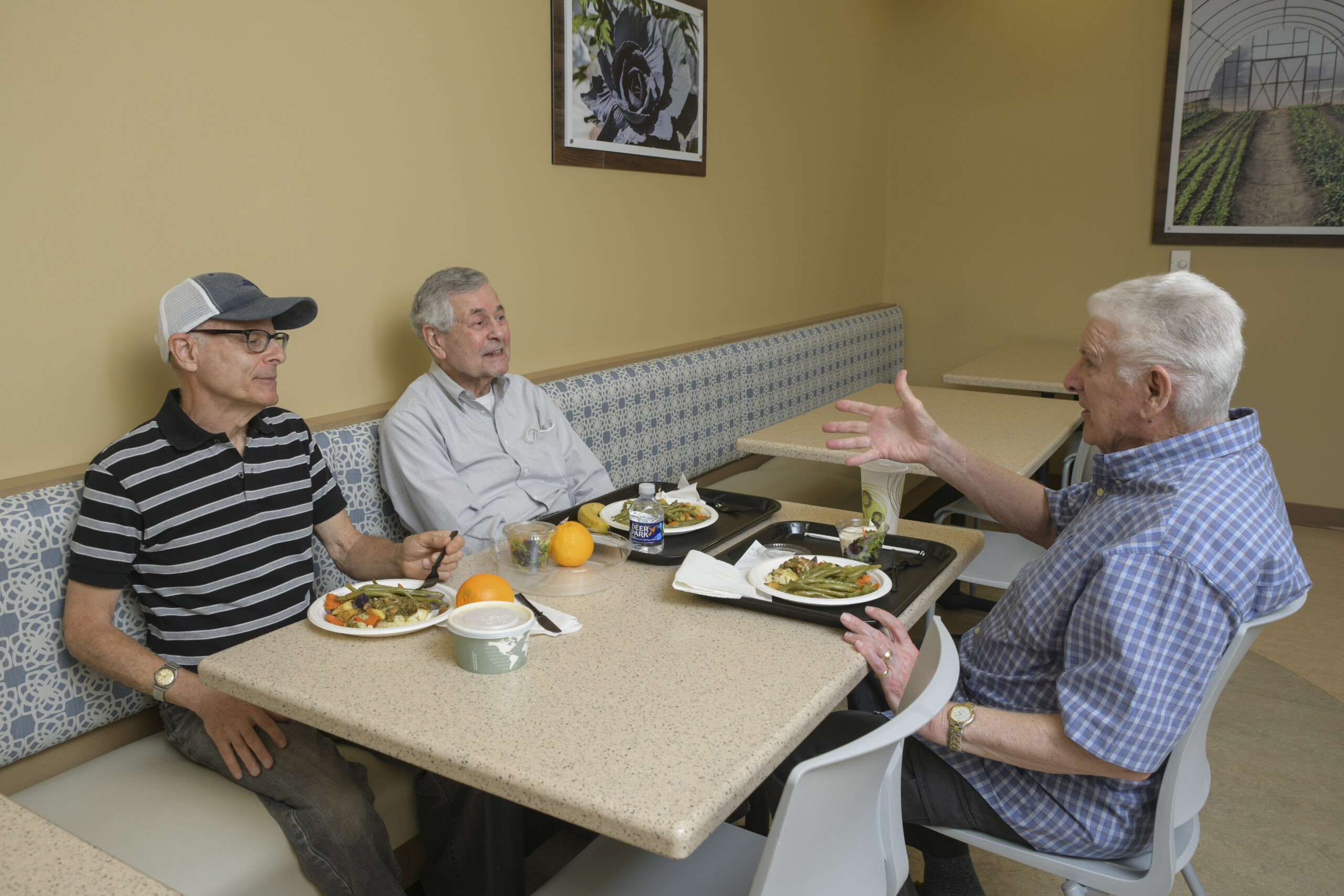 Older Adult Meals St Luke Program