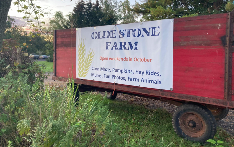 Olde Stone Farm Harvest Days