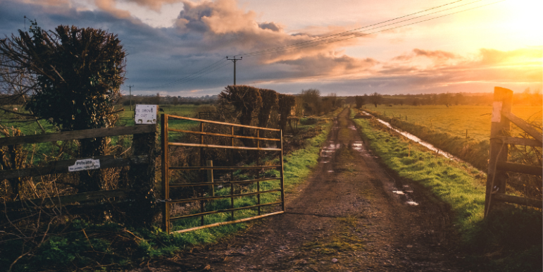 Open Gate Farm Tour