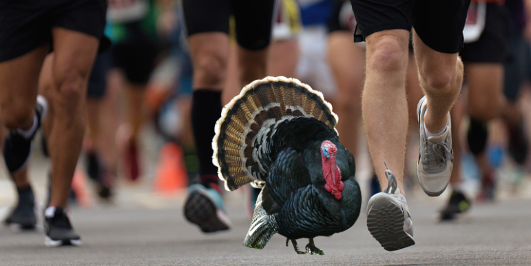 Turkey Trot