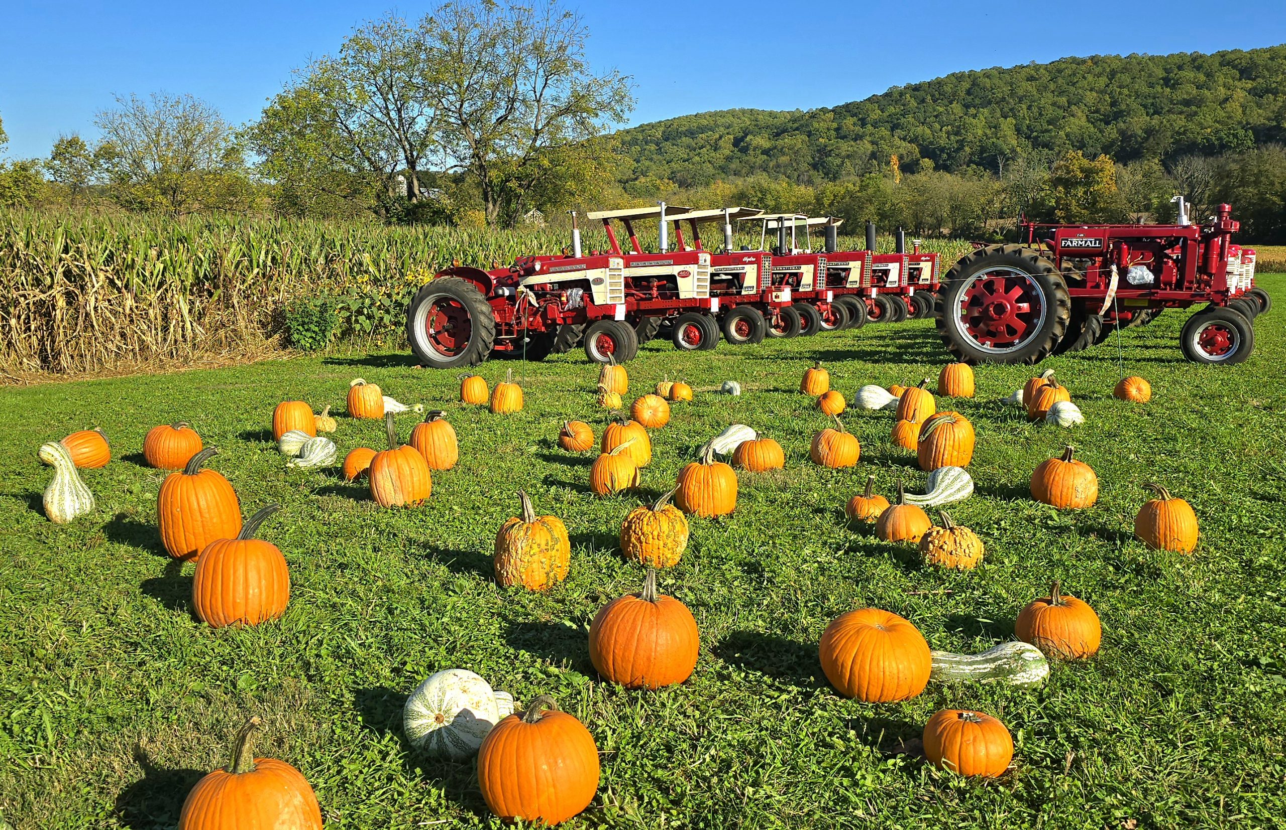 Olde Stone Farm Harvest Days