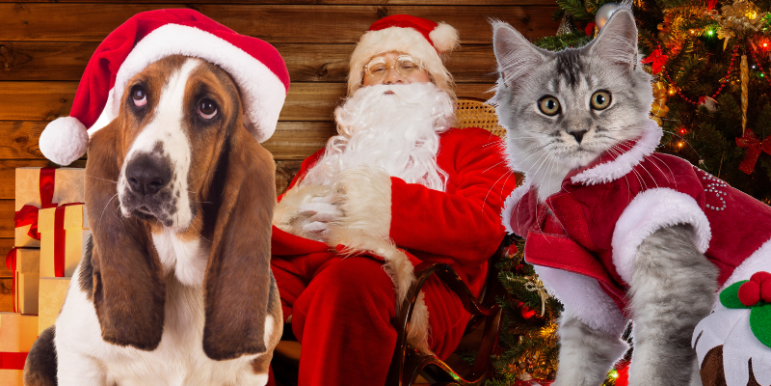 Pet Photos with Santa