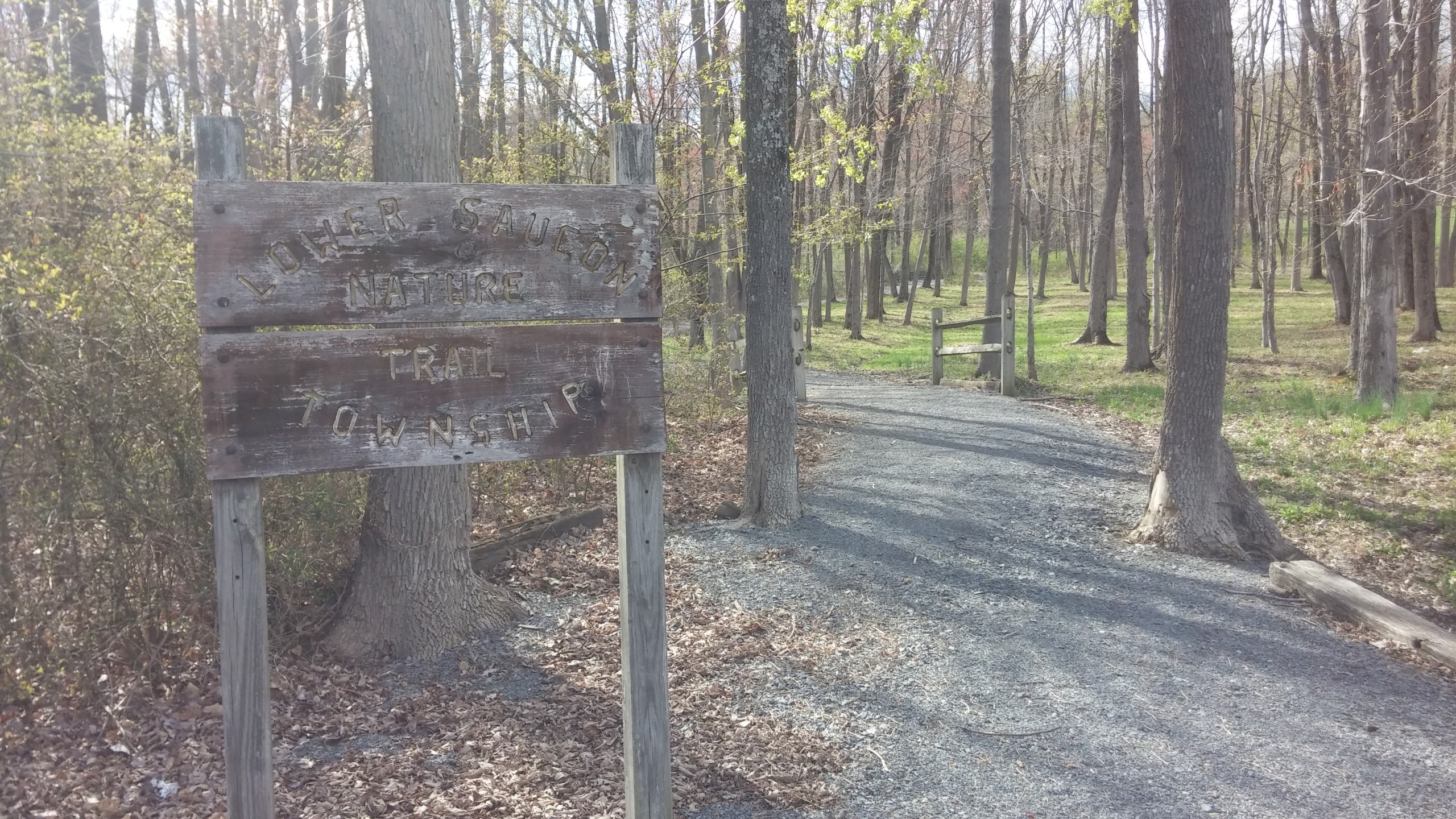 The nature trail at Town Hall Park in Lower Saucon Township is a short gravel trail through woods near the municipal complex on Old Philadelphia Pike.