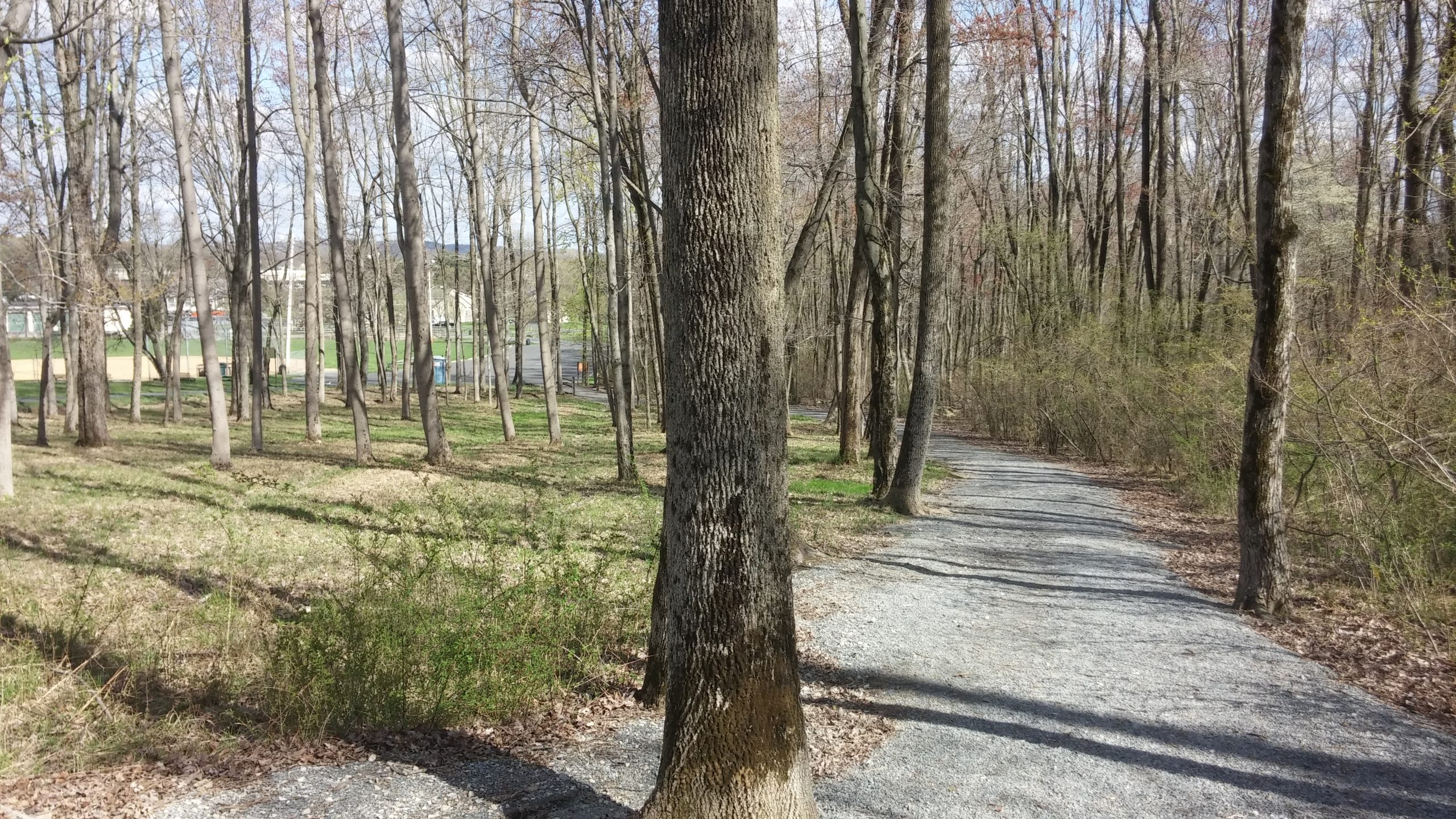 The nature trail at Town Hall Park in Lower Saucon Township