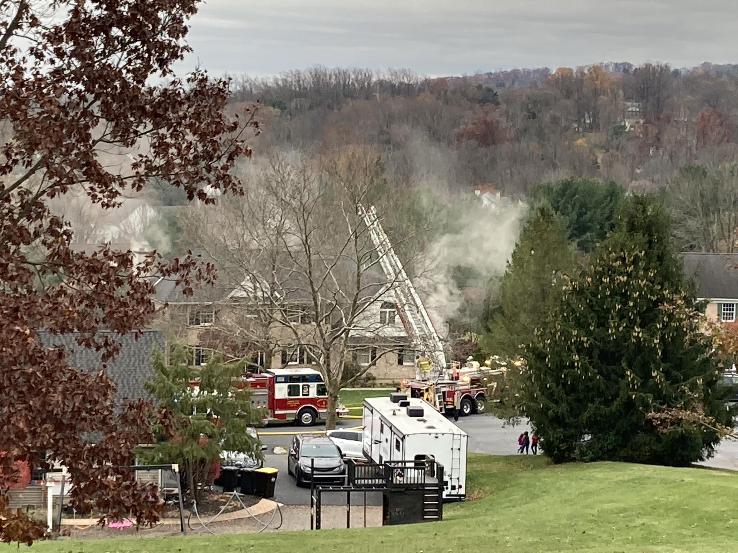 11-21-2021 Dogs Upper Saucon