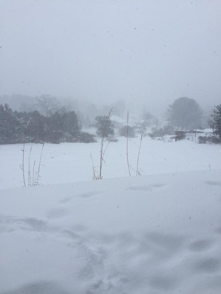 Wassergass, Lower Saucon Township