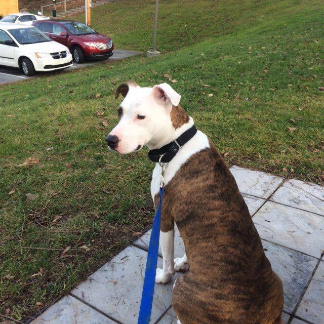 13672170_10210313228976793_284991261_n