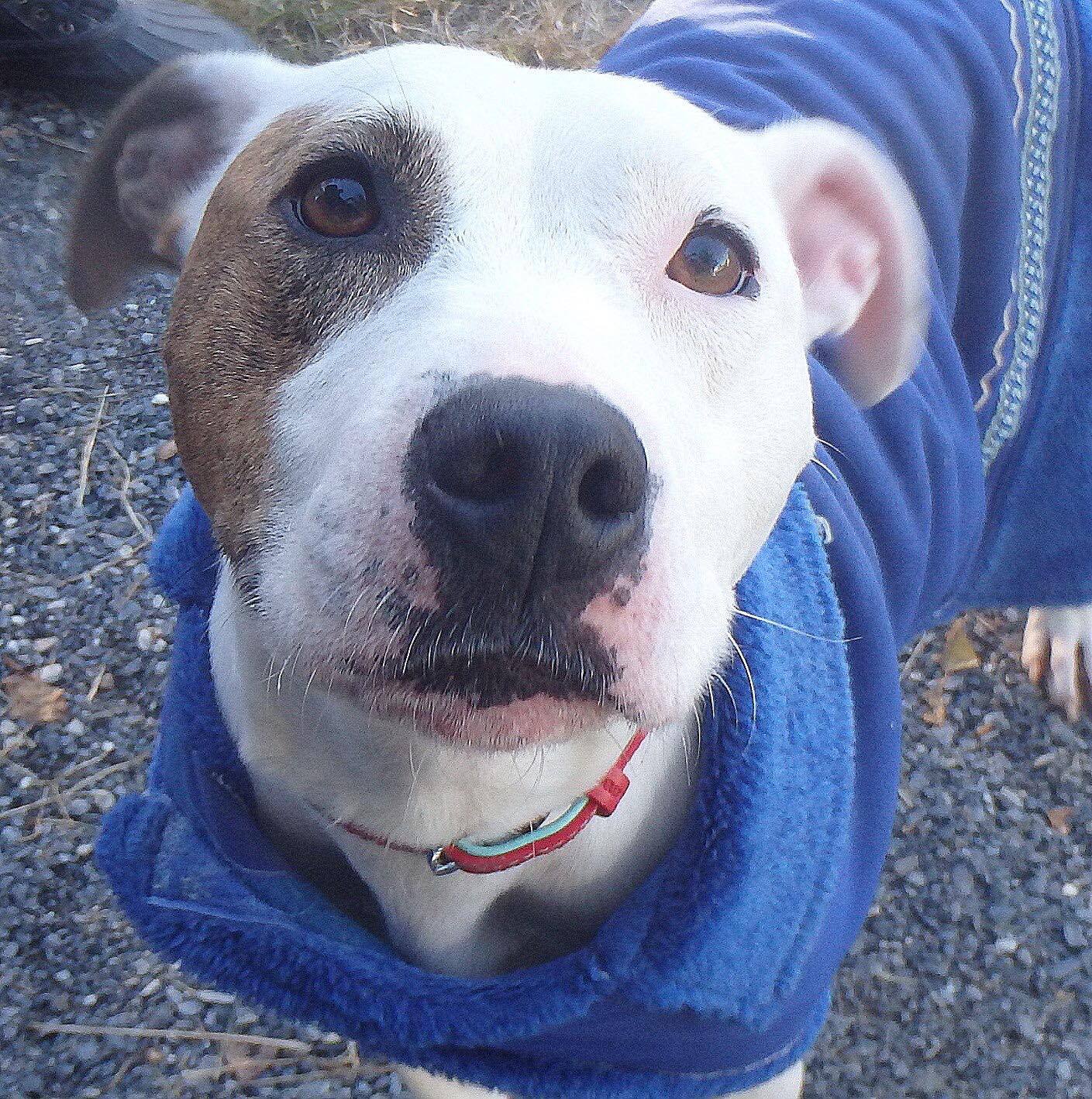 13694130_10210313228096771_377028932_o